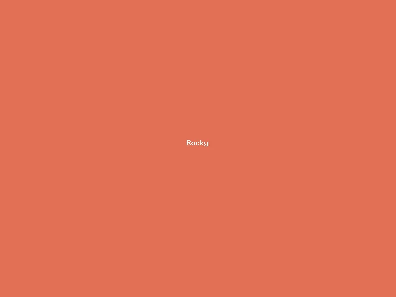 Rocky — Boxer